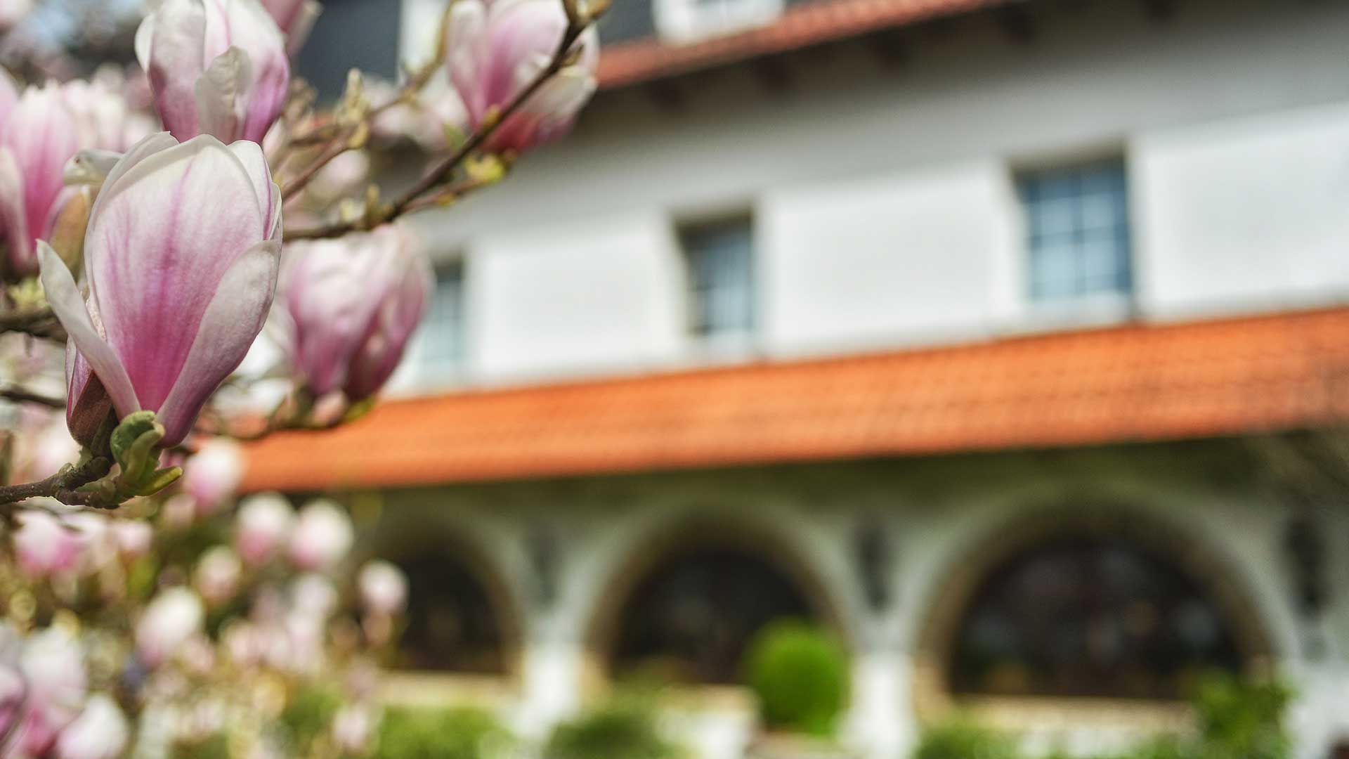 Das Vichter Landhaus liegt in der grünen Voreifel